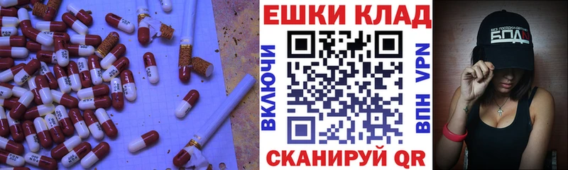 mega ссылка  Шахунья  ЭКСТАЗИ TESLA 