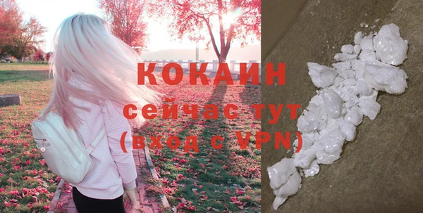 стаф Медногорск
