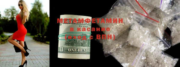 индика Струнино