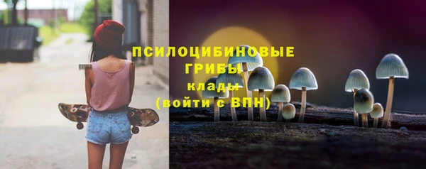 сатива Усмань