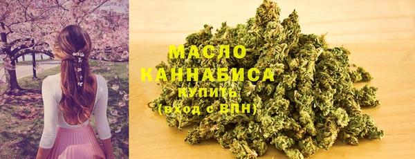 стаф Медногорск