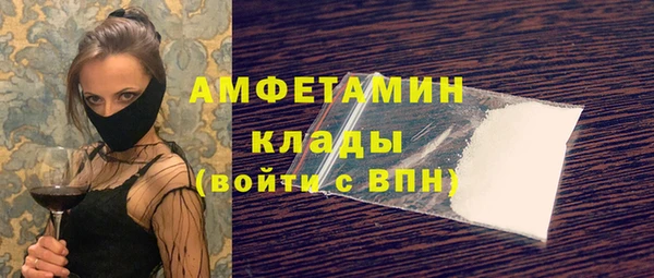 стаф Медногорск