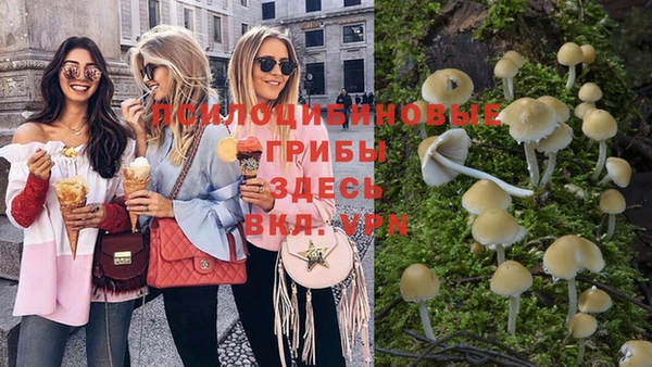 прущие крисы Мегион