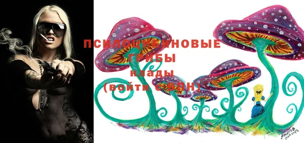 мескалин Медвежьегорск