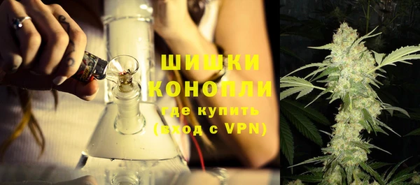 стаф Медногорск